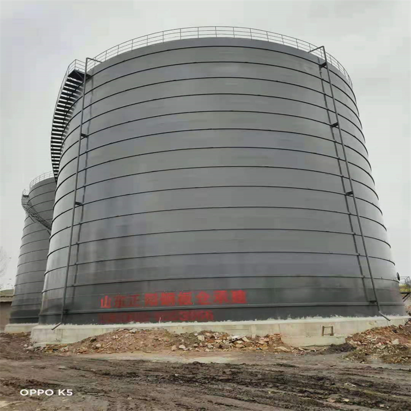 新华镇3万吨大型钢板库